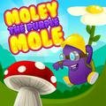 Purple Mole